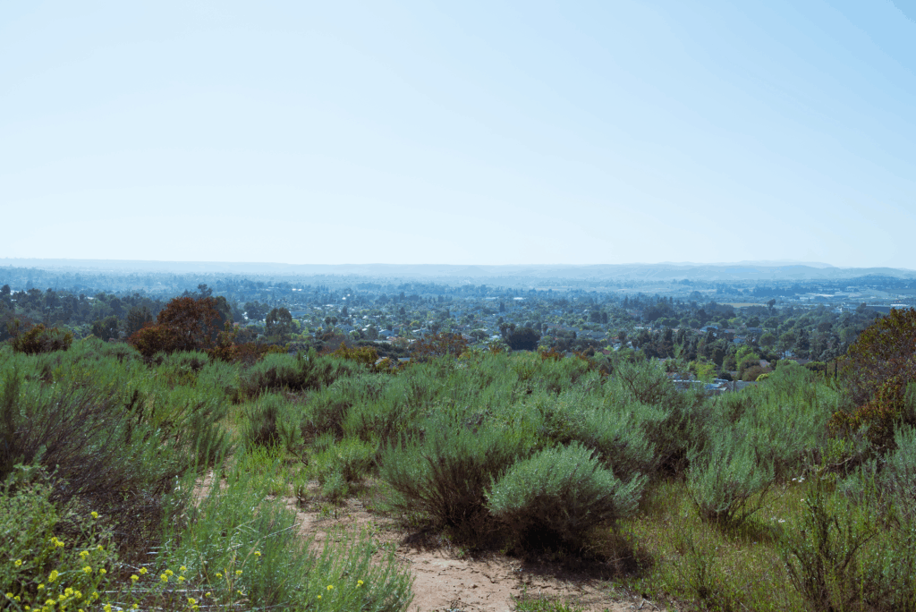 Coastal Sage Scrub