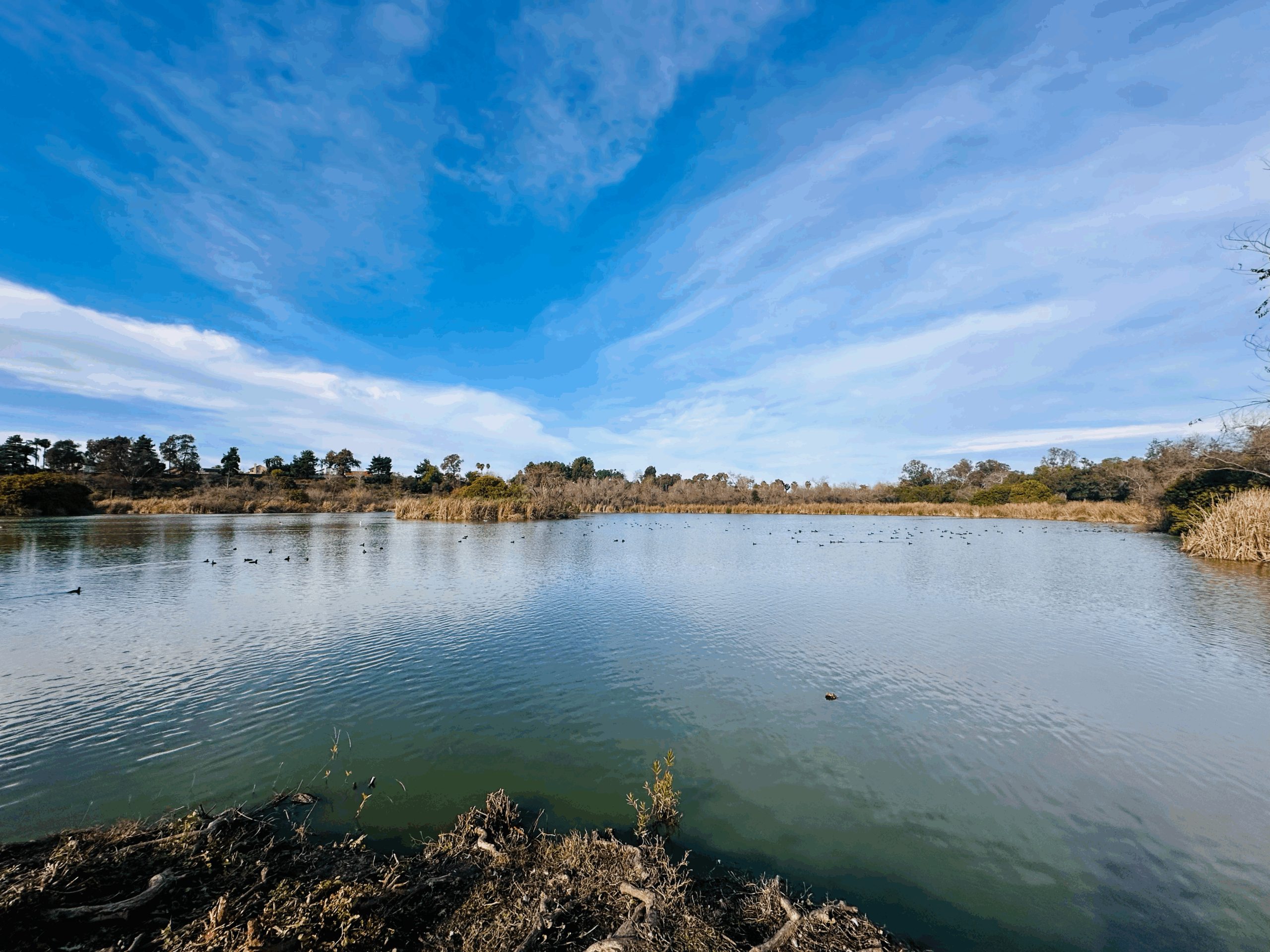 High-Density Development Threatens Guajome Park & Our Community